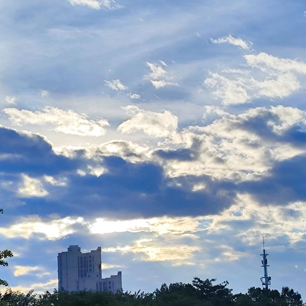 我真的好饿好饿