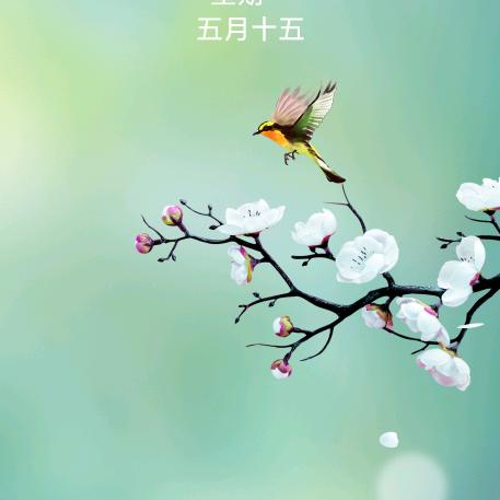 阳光明媚