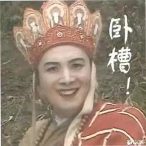 得无假为图真有