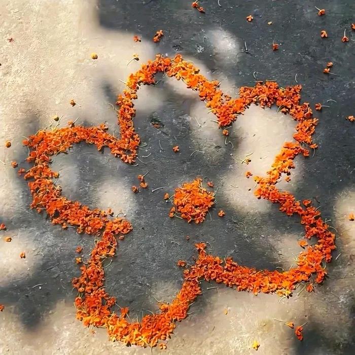 一起写好中国字