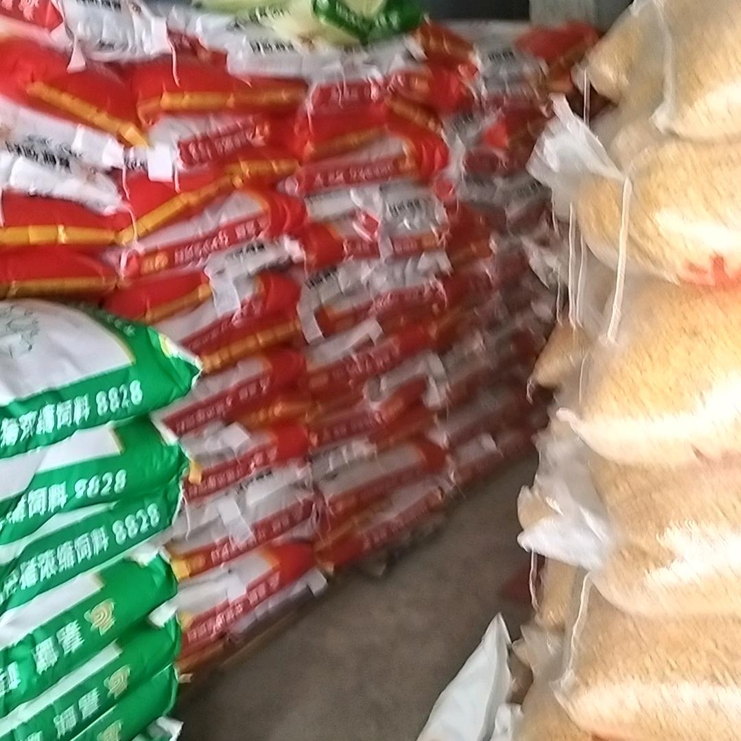 瓢井饲料玉米销售店。