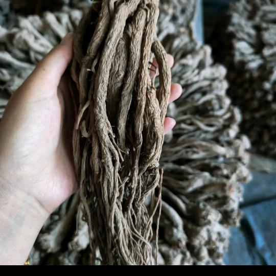 三宝养生当归、黄芪、党参