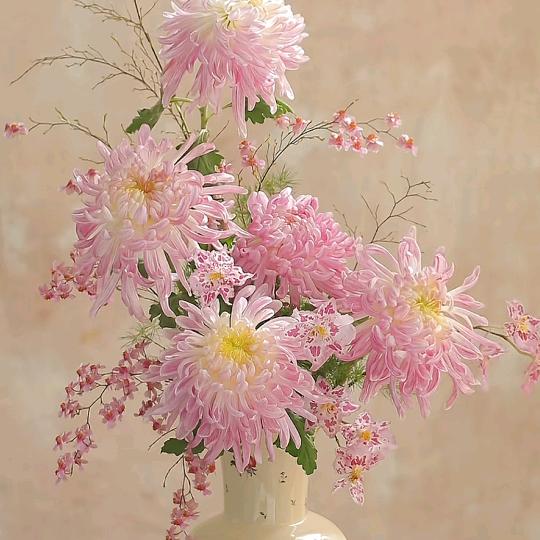 💞浅笑安然℘࿐ᩚ