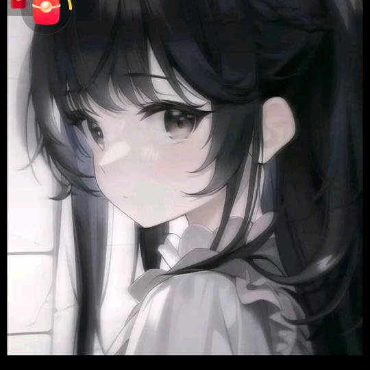 华光飞渡