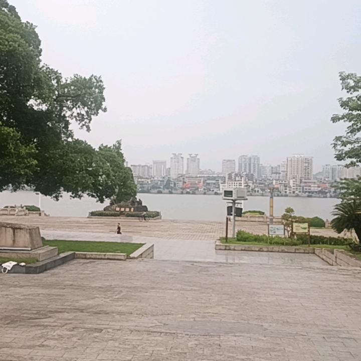 博学的可乐