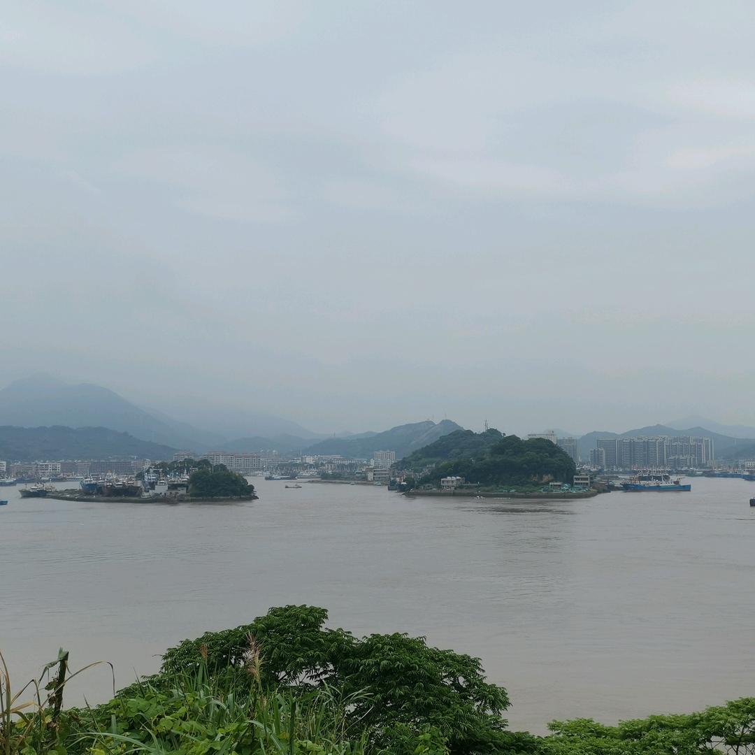 东海扑鱼人