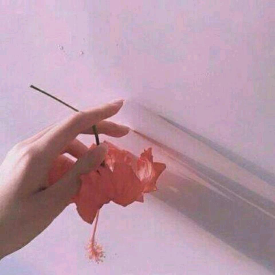 赞皇金都按摩足浴