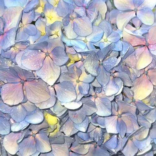 他说风雨中这点痛算什么🎵