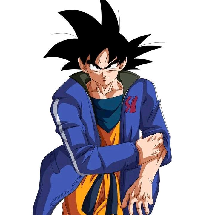 龙珠卡卡罗特孙悟空