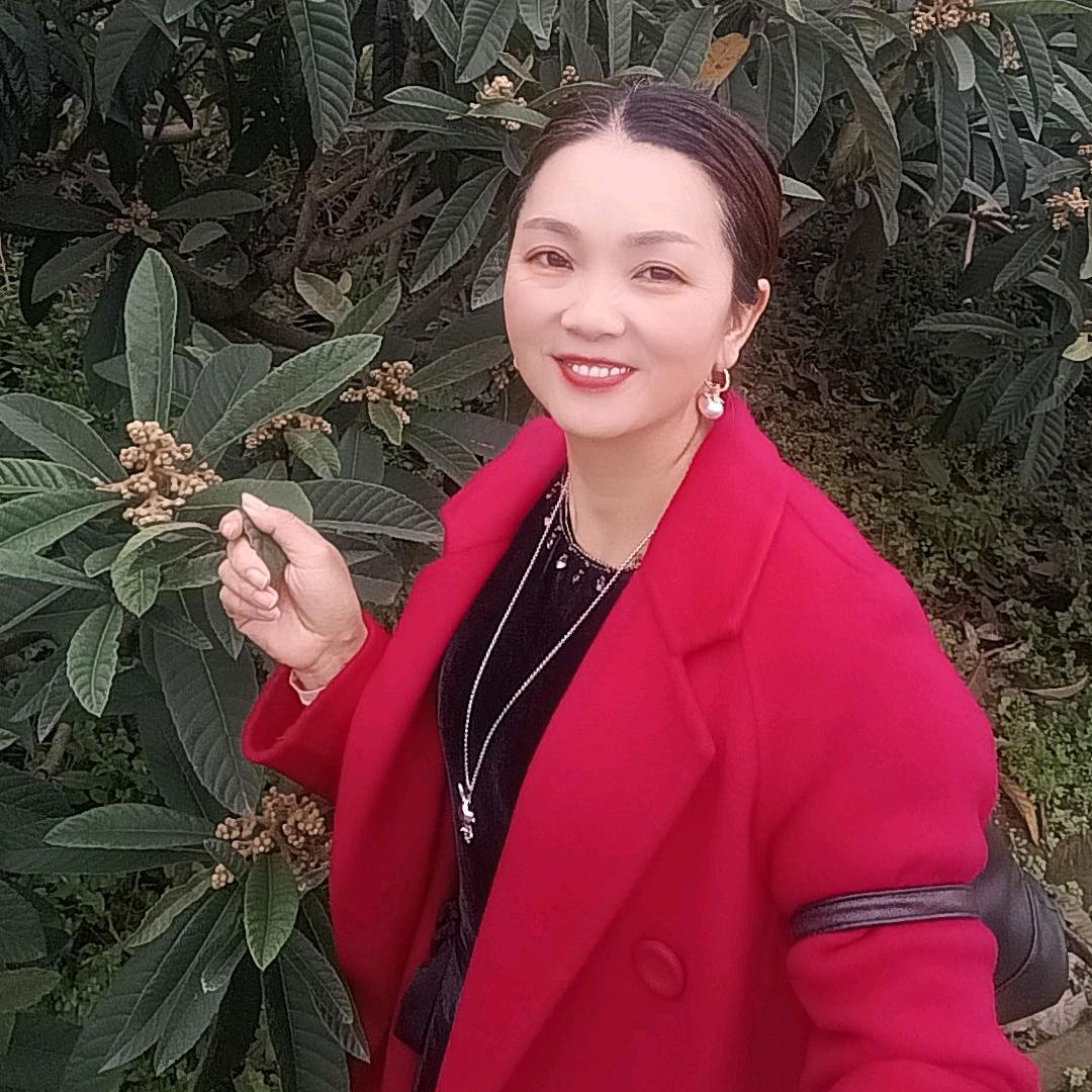 张九姐