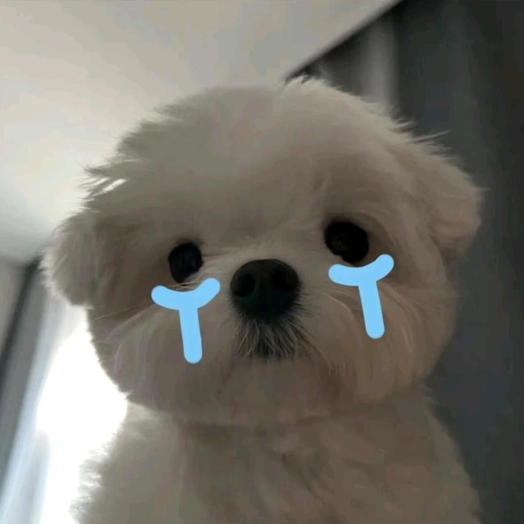 姗姗来迟