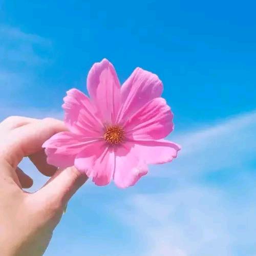 再见.只是陌生人