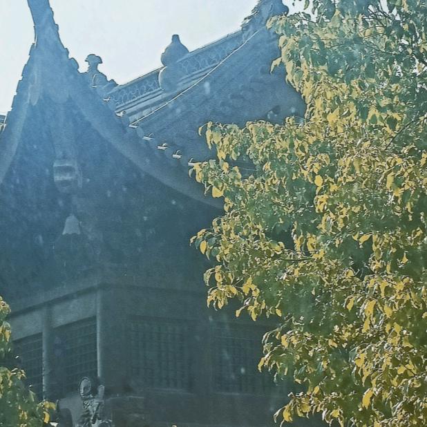 菩提树下