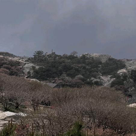 雪地靴工厂9527总仓