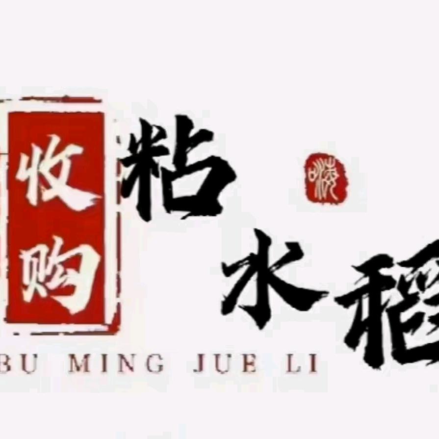 常年收购糯稻