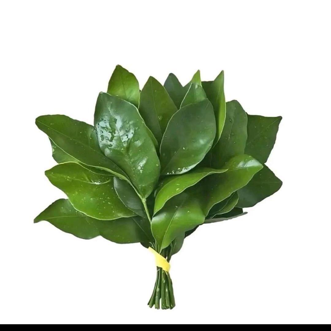 柚子叶