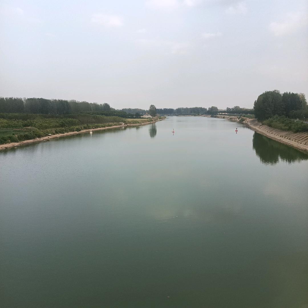 随缘姐