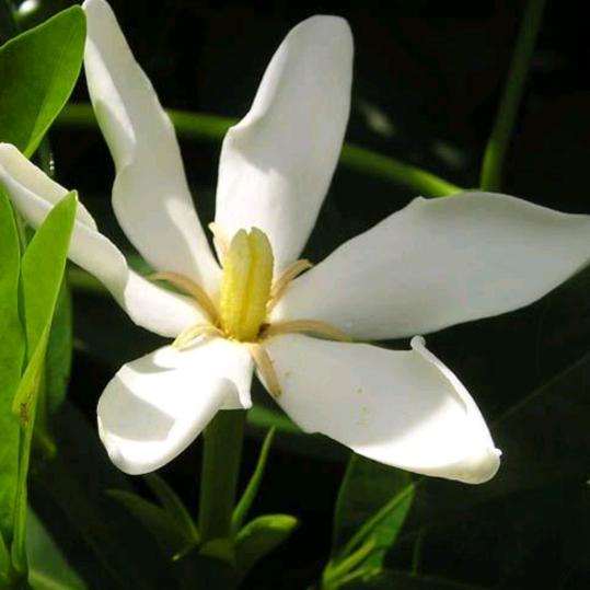 转角婚介圆你脱单梦