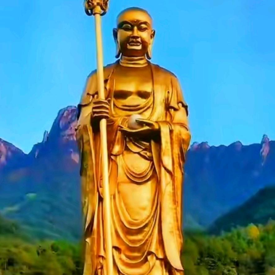 禅静苇