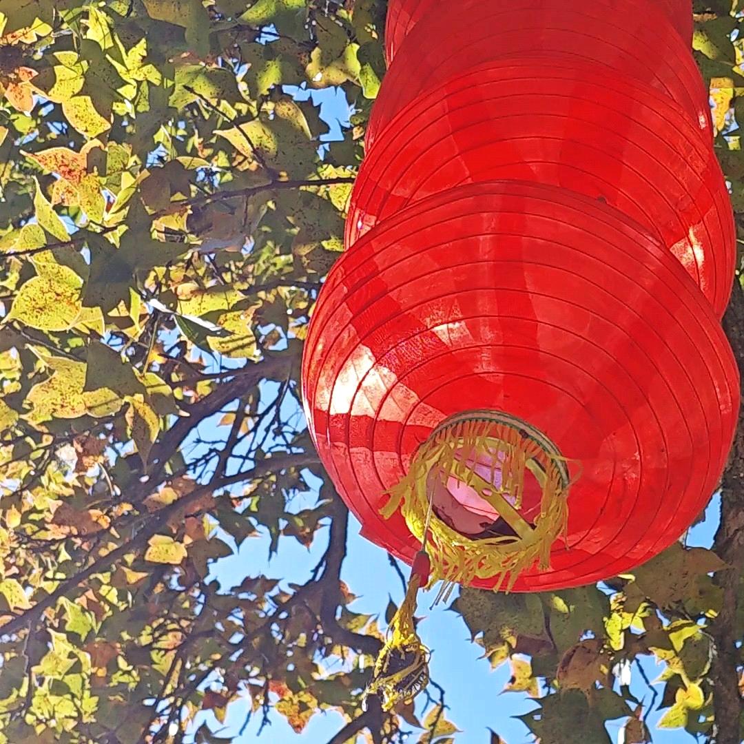 㯔䨹