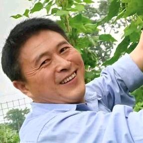 养蜂人老余