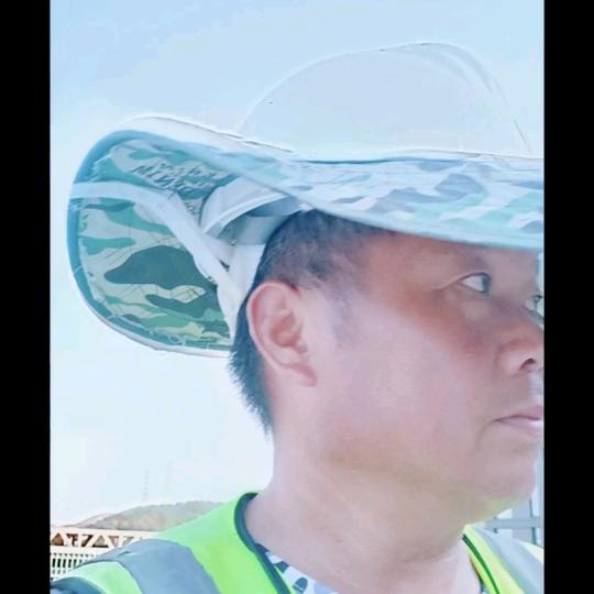 云中白鹤