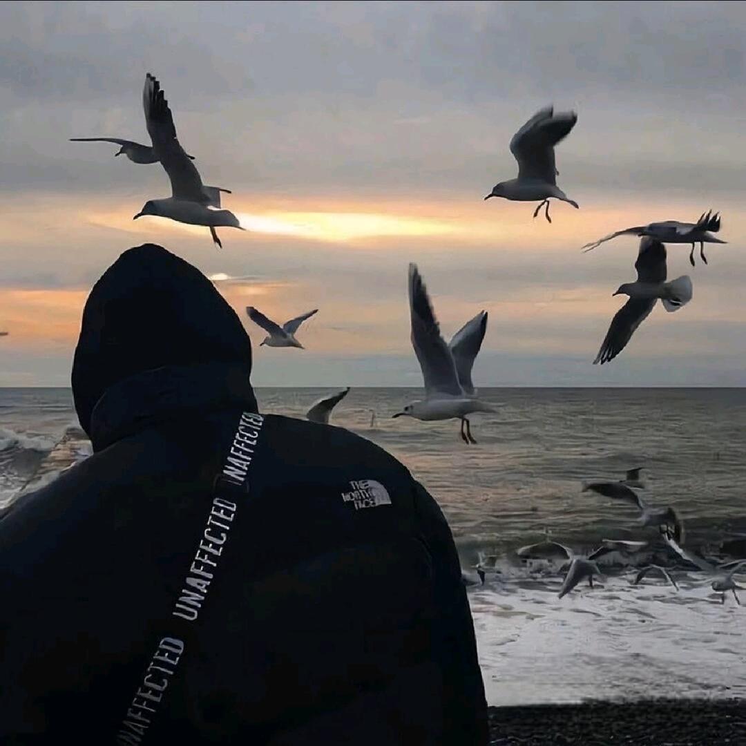 ʰᵉˡˡᵒ𝙠𝙞𝙩𝙩𝙮.