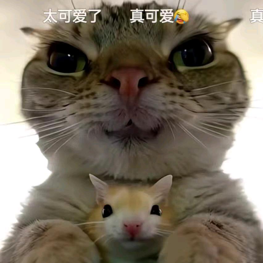？霞姐？