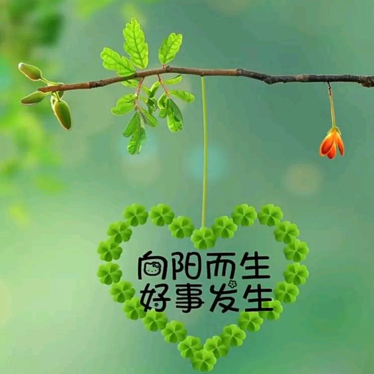 开心点没什么大不了