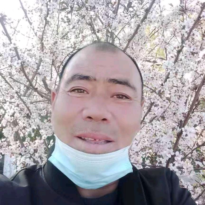 天空任鸟飞
