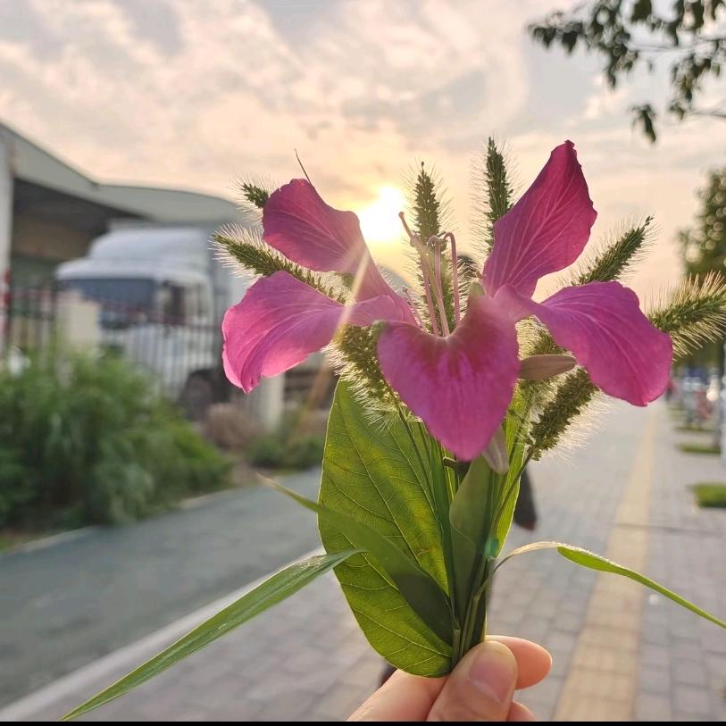 简单生活用心过