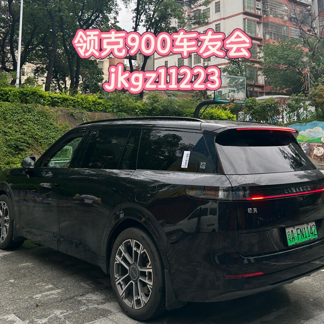 霸王（进领克900 裙看主页）