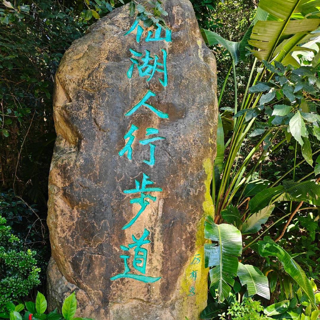 爱相随🍄