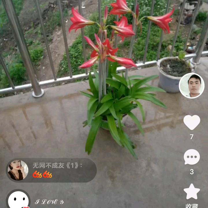 伤心