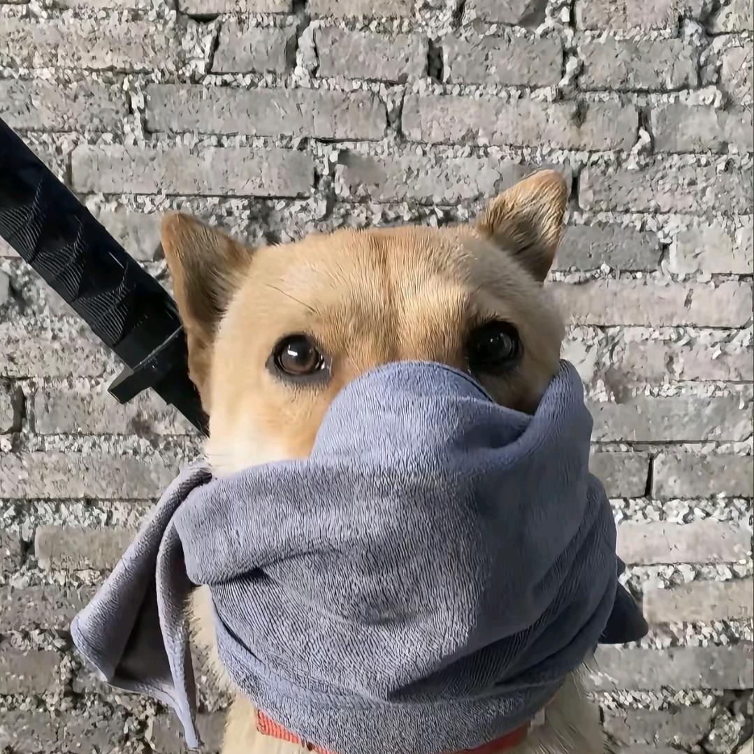派