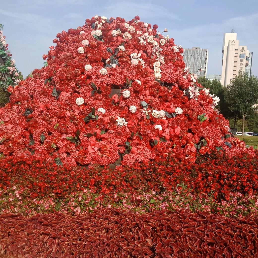 健康密码