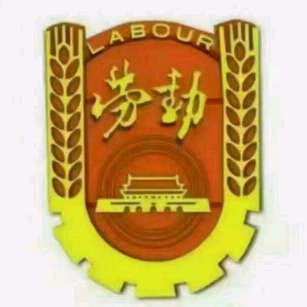 —山 东 劳 联—