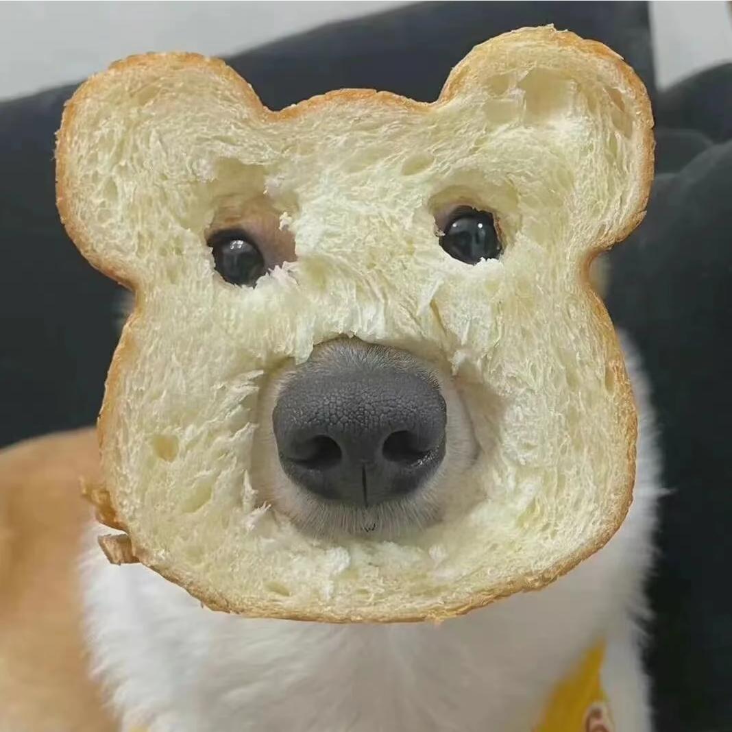 歪歪歪.