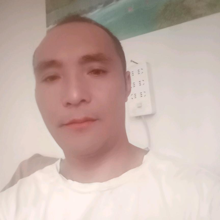 亮火虫