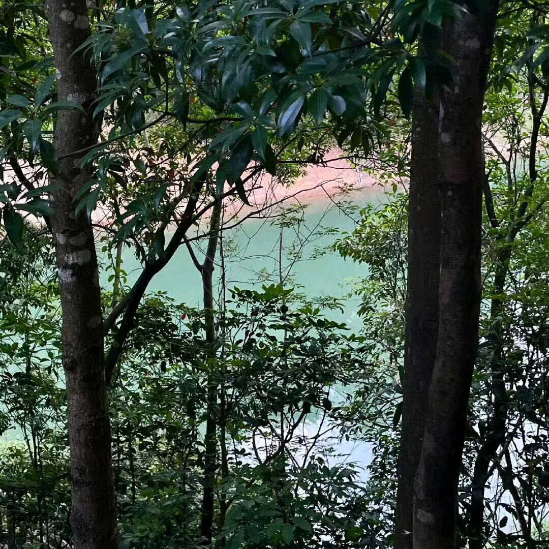 好好努力