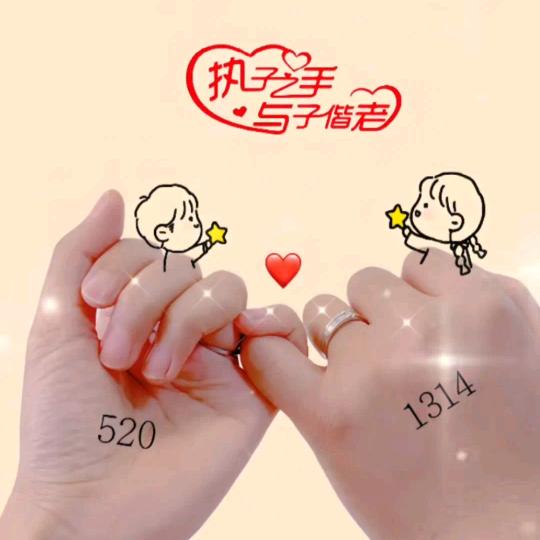 真心换真心
