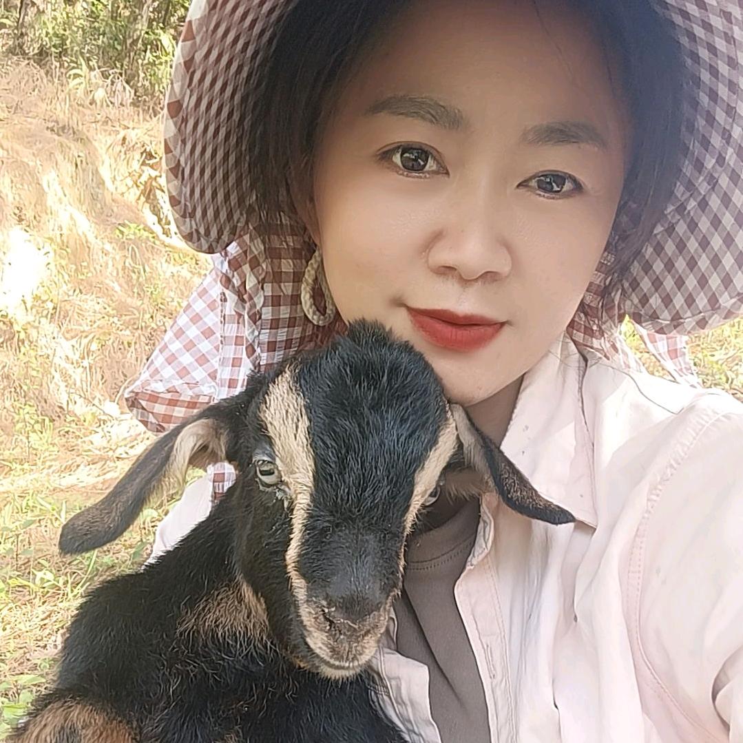 曙光黑山羊养殖