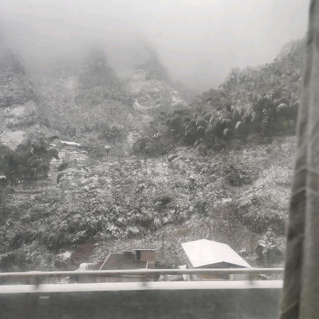 眼不懂泪的懦弱