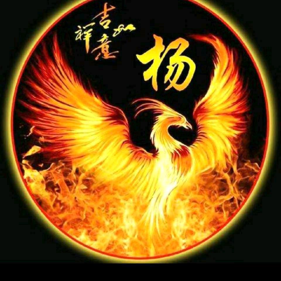 大美菏泽我的家乡