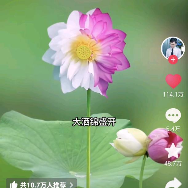 邱峻峰