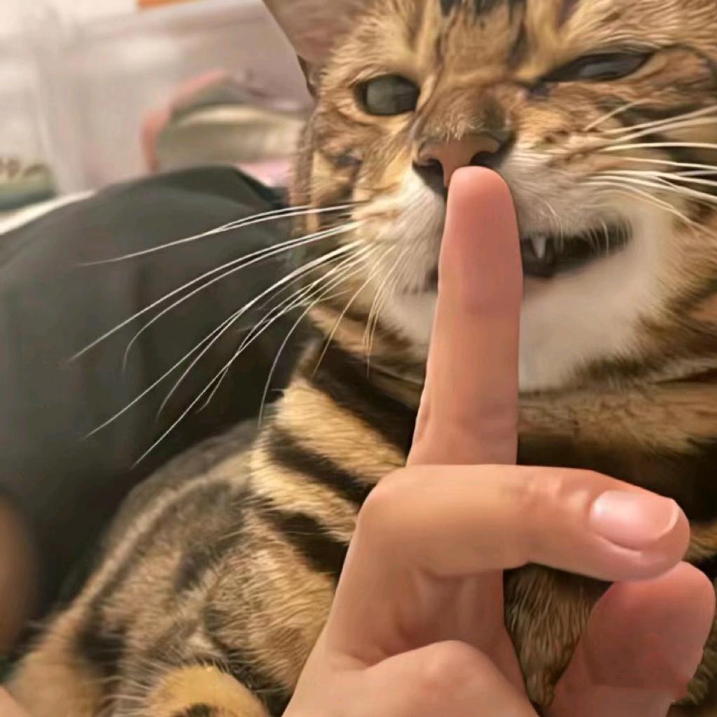 阿杰（宠物沟通）