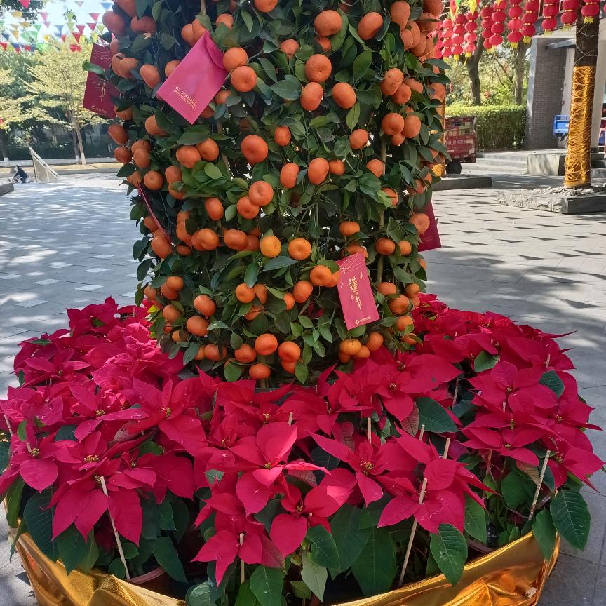 另类的风衣