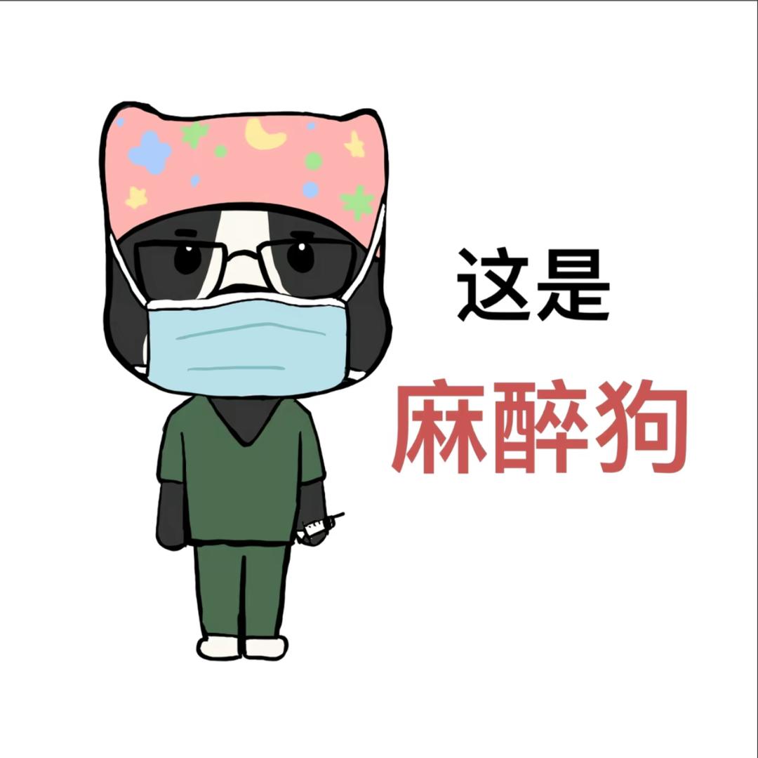 ▷ ︎ı||ııı||ı| 6”