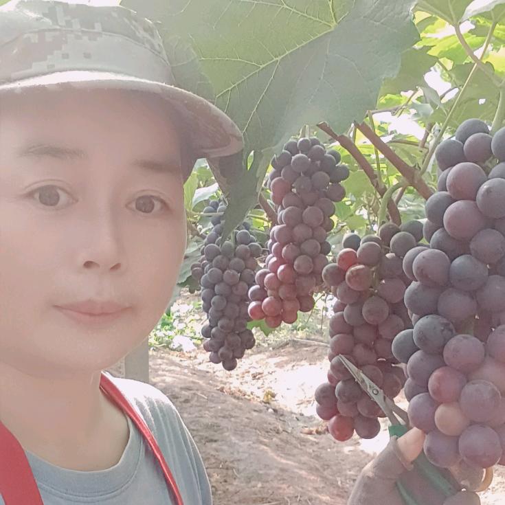 乌沙倩婧葡萄园吴玲玲🍇拒绝连赞谢谢