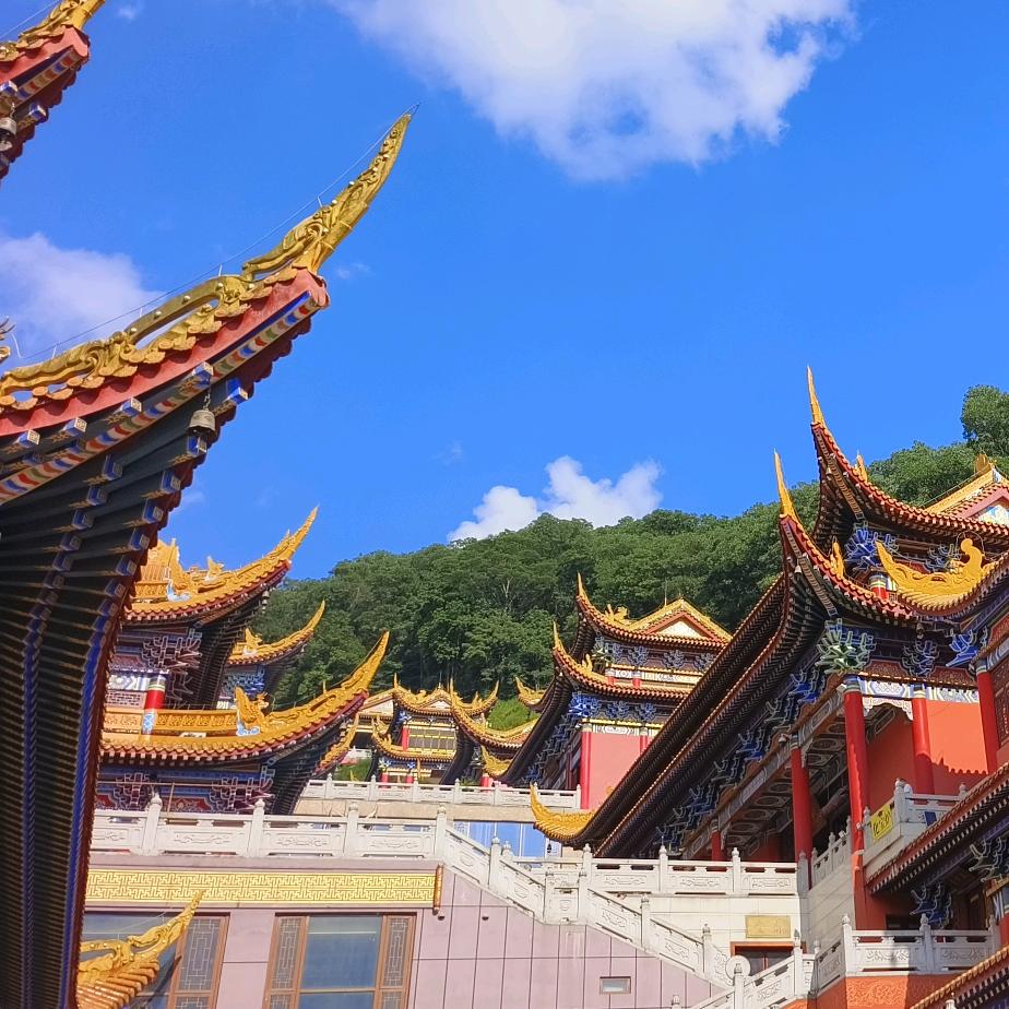 水果亮亮《宝豫》